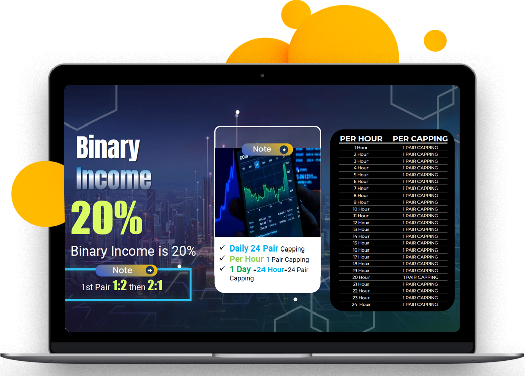 Binary income